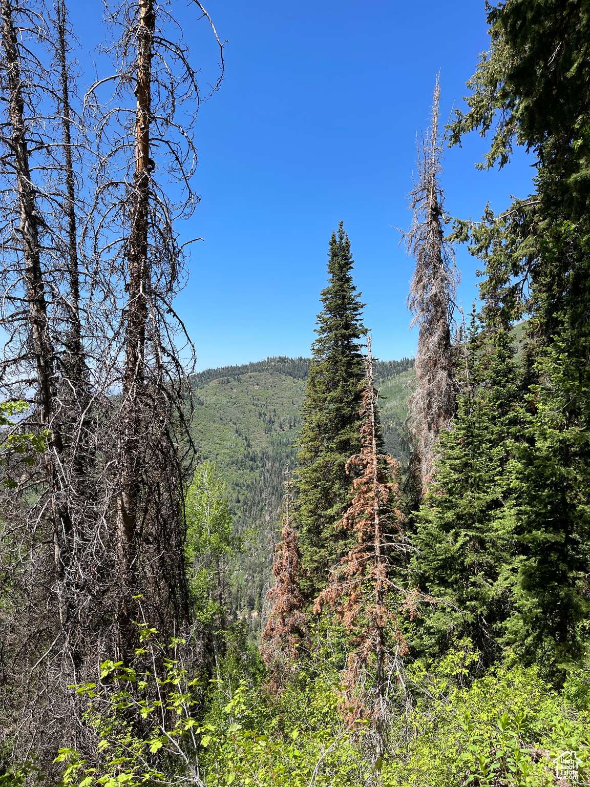 Mt Pleasant, UT 84647
