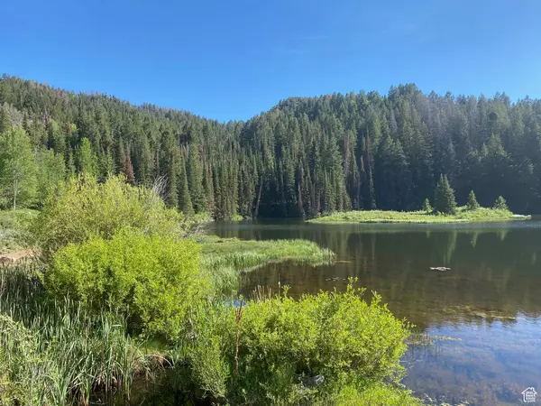 Oakley, UT 84055,3707 RIVER VU #135