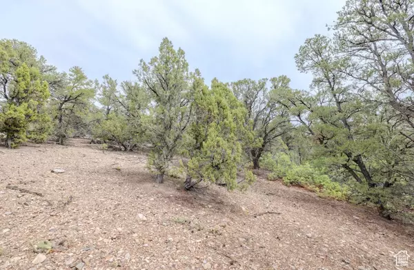 Indianola, UT 84629,292 E HIGHWAY 89 #12