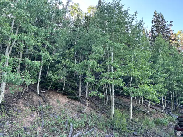 325 N CORRY CIR, Brian Head, UT 84719