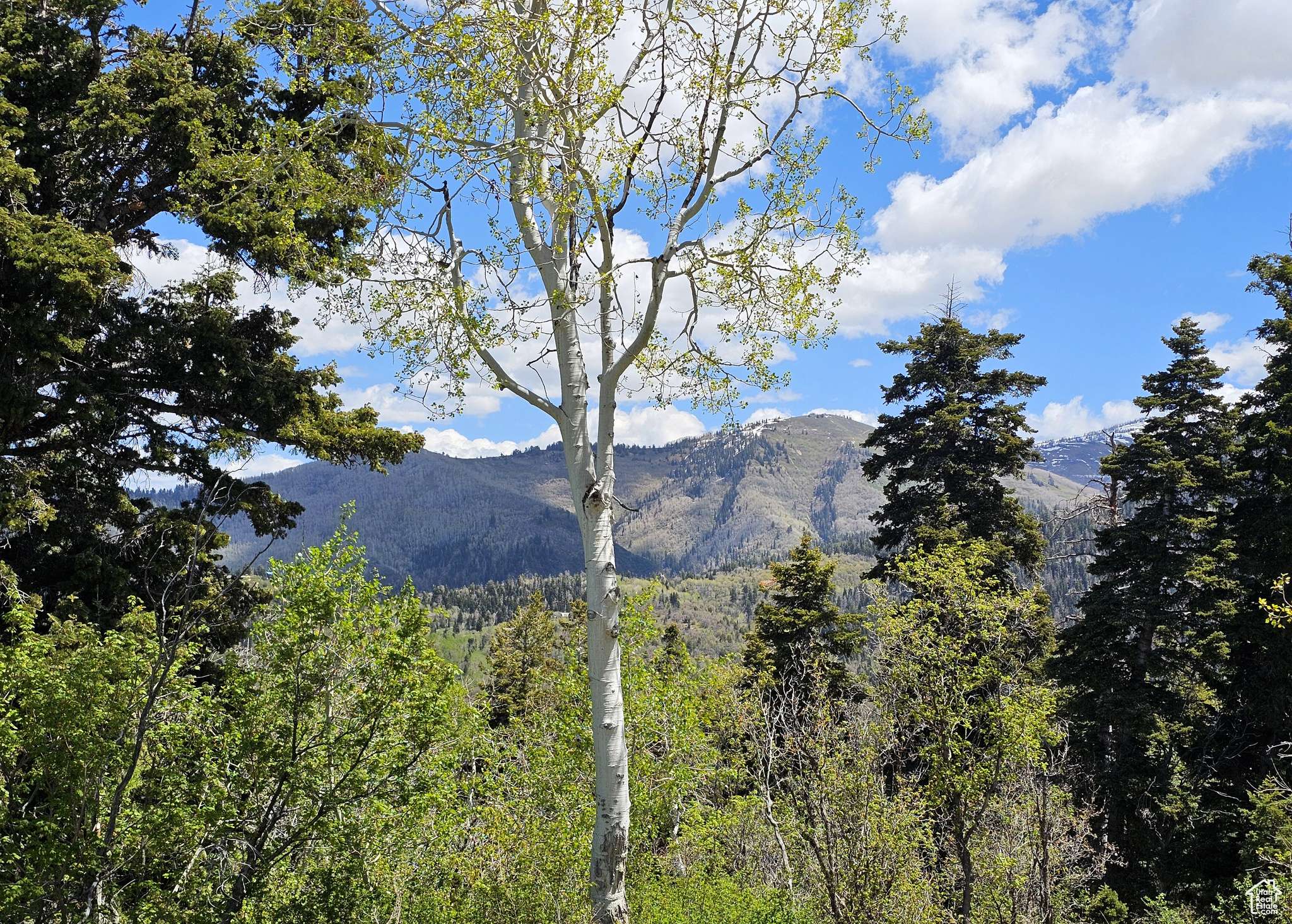 Mt Pleasant, UT 84647,27 PINE RIDGE RD #27