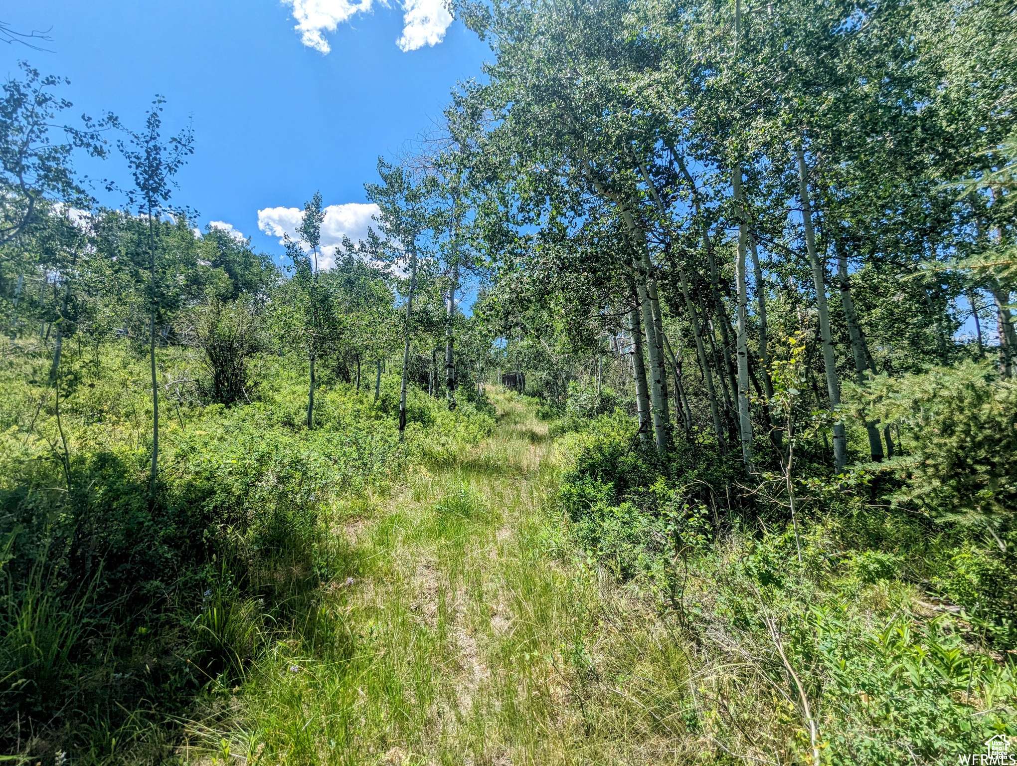 Heber City, UT 84032,10579 E FIR RUN DR #735