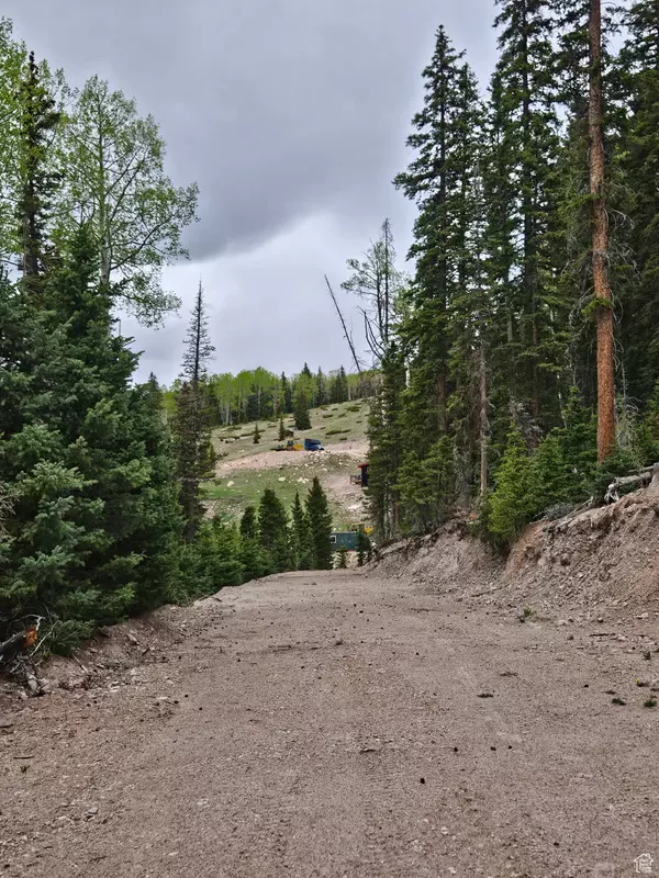 Beaver, UT 84713,39 UNKNOWN #39