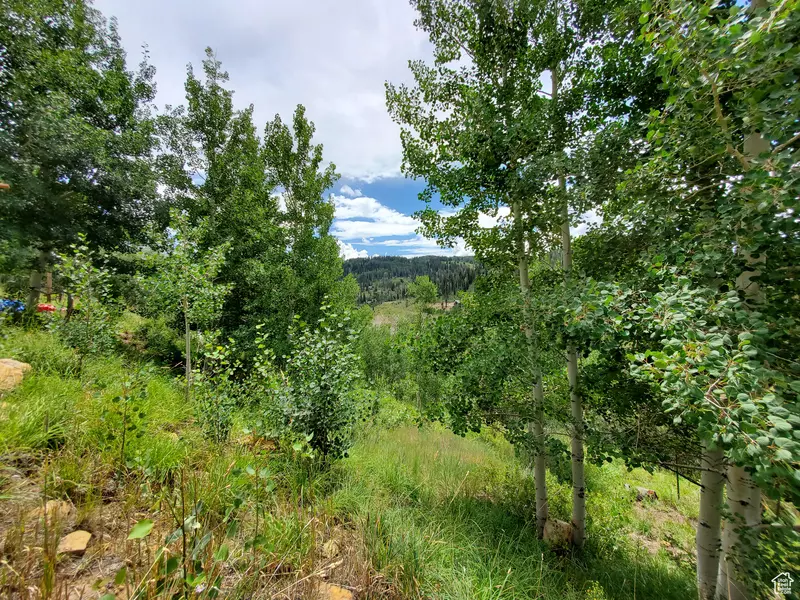 103 BROOKS CANYON RD #GB 103, Fairview, UT 84629