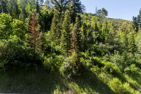 Park City, UT 84098,6890 CANYON DRIVE CT