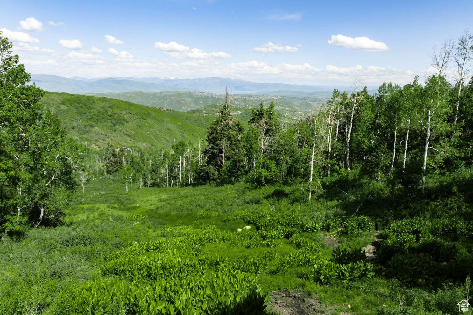 Park City, UT 84098,635 W UPPER COVE RD #52