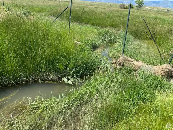 Mt Pleasant, UT 84647