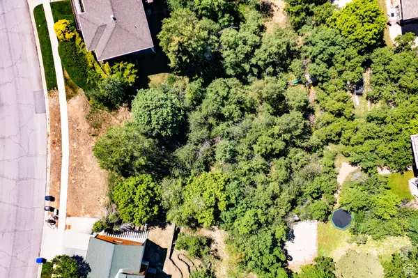 Bountiful, UT 84010,831 E SAN SIMEON WAY