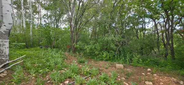 Tabiona, UT 84072,11 TABBY RD #11
