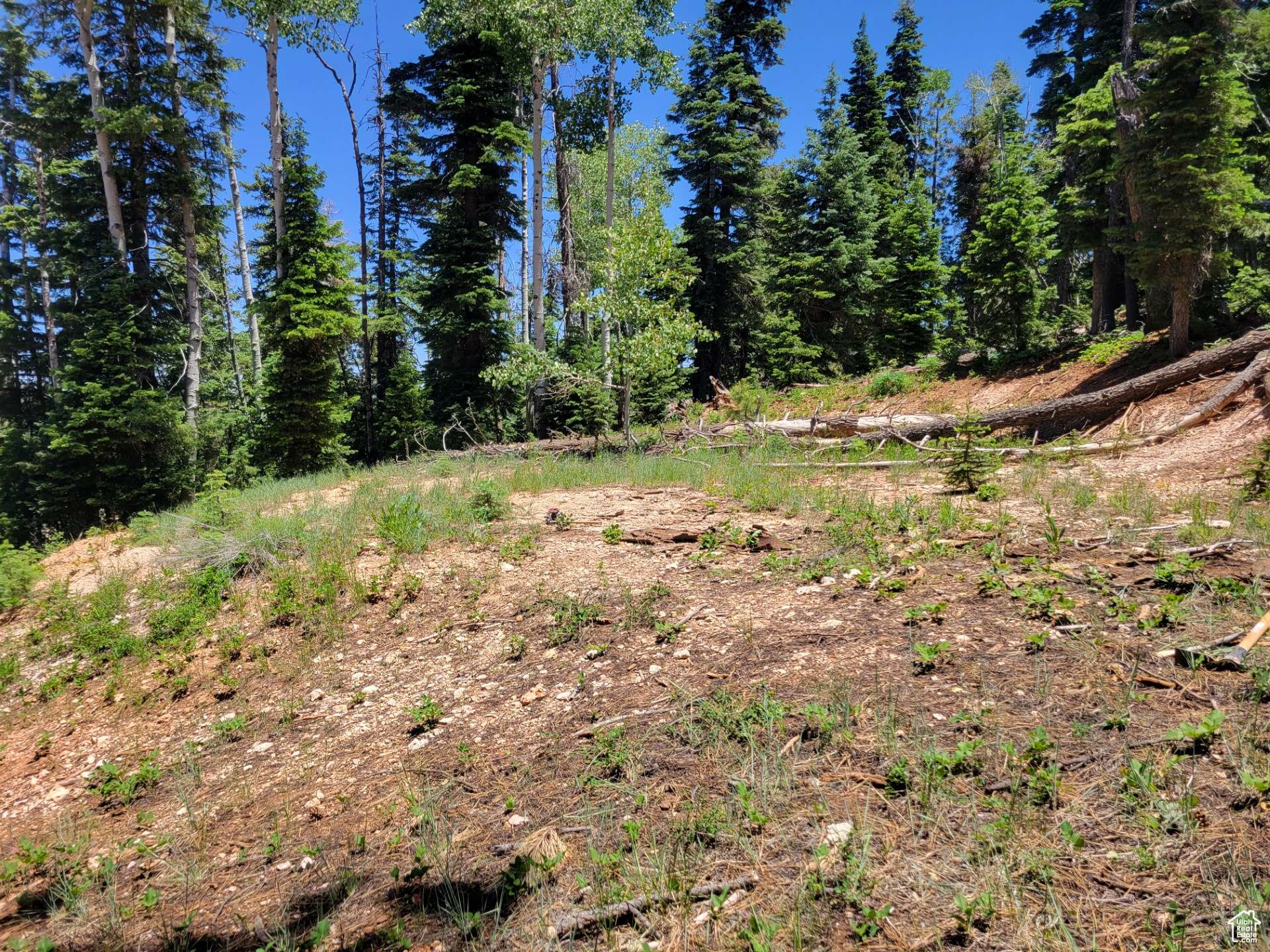 Duck Creek Village, UT 84762,845 W TAMARISK CIR