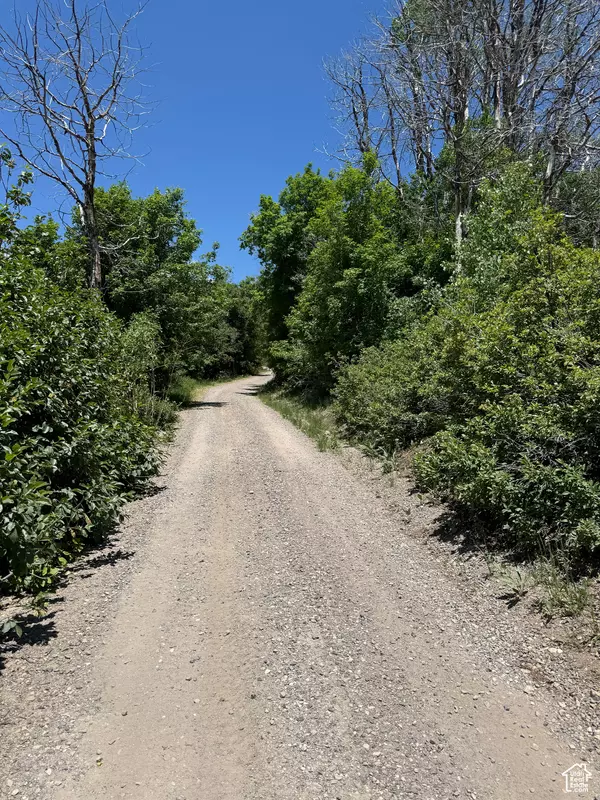 Fairview, UT 84629,#M60