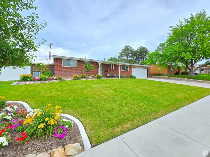 Address Not Disclosed