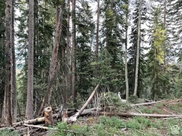 Beaver, UT 84713,#130