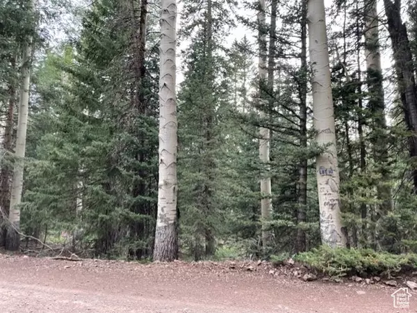 Beaver, UT 84713,#51