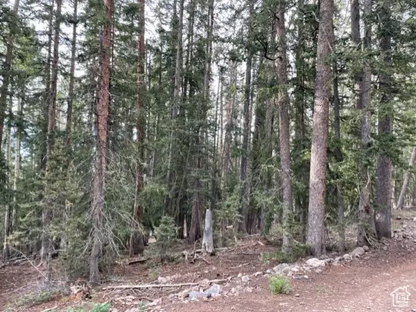 #10, Beaver, UT 84713