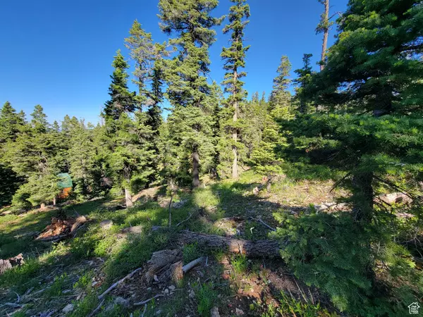 Duck Creek Village, UT 84762,6220 W BROOK LN