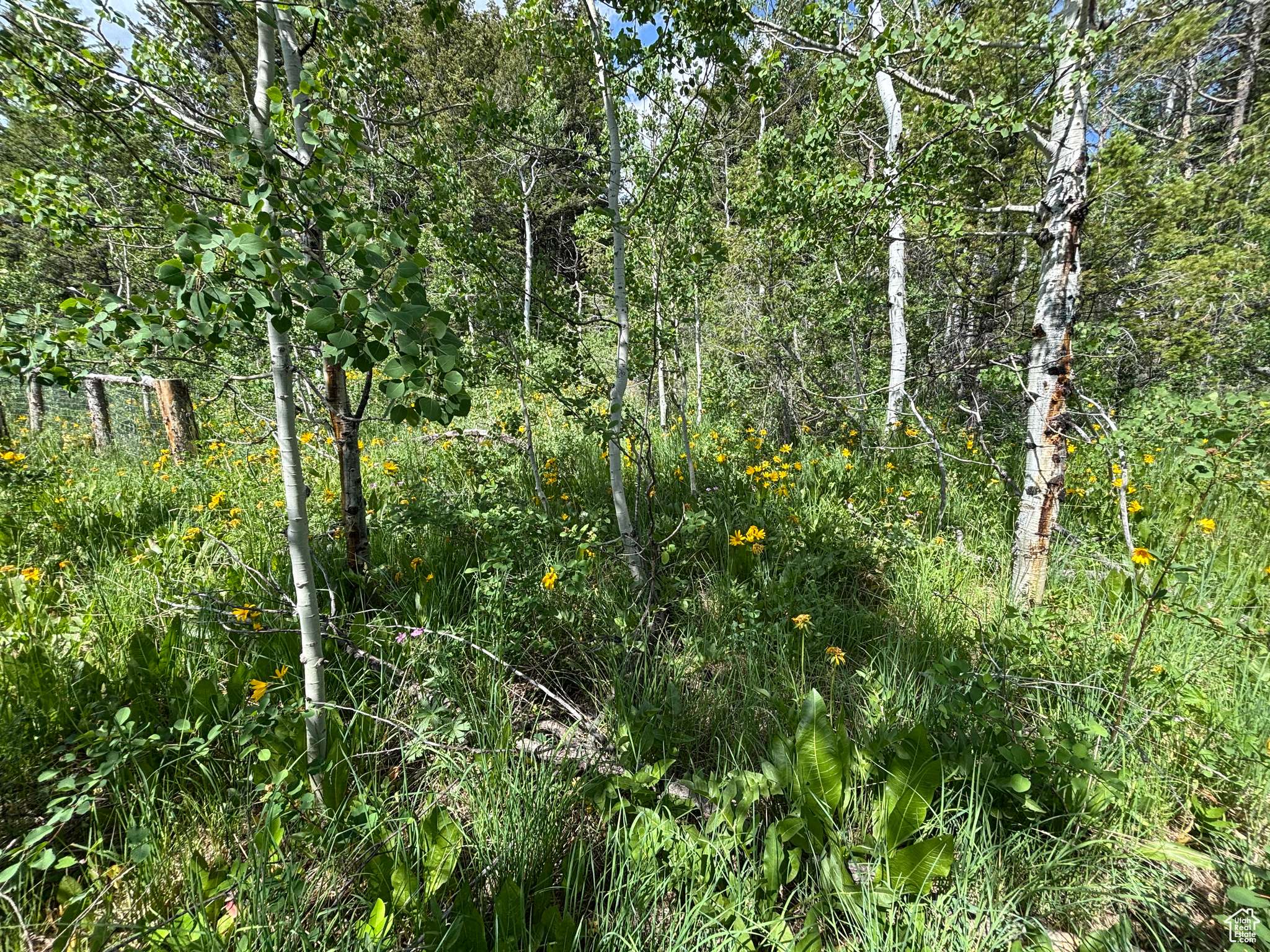 Montpelier, ID 83254,1 POLE CANYON RD