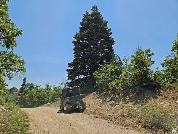 844 E EDGEWOOD DR #844, Fairview, UT 84629