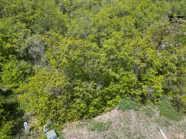 Garden City, UT 84028,980 W BROAD HOLLOW CIR #10