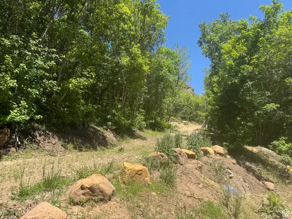 Fairview, UT 84629,29 L BIRCH CREEK DR #L-29