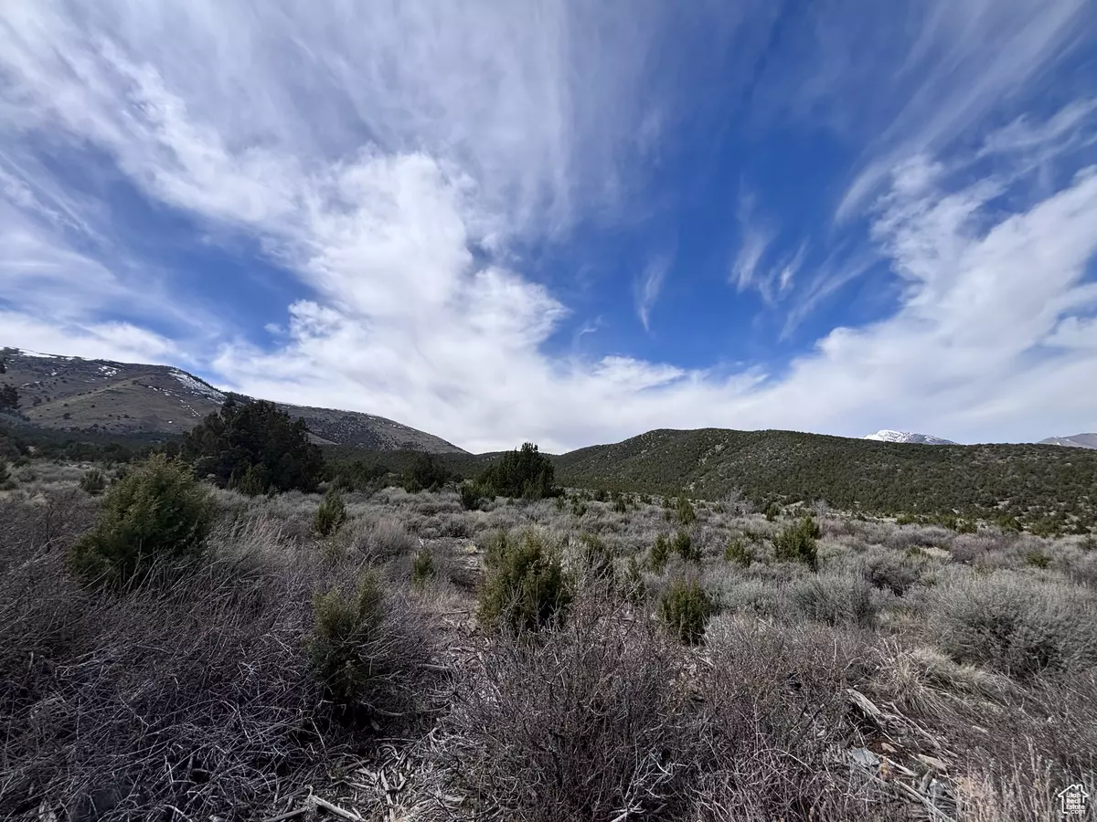 Rush Valley, UT 84069