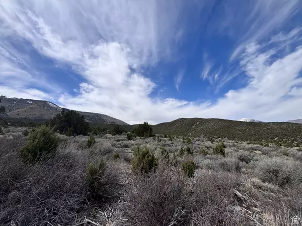 Rush Valley, UT 84069