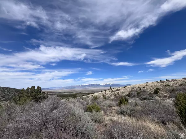 Rush Valley, UT 84069