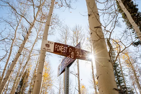 12385 E FOREST RD,  Brighton,  UT 84121