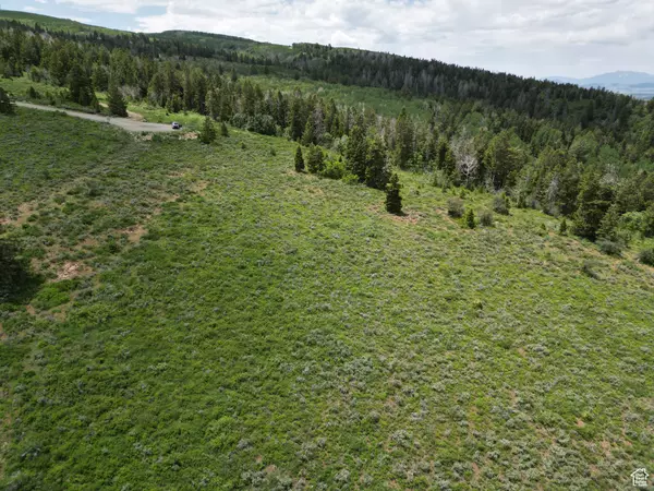 Spanish Fork, UT 84660,17528 S WOLF CREEK CIR #46