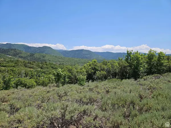 155 E WOLF HOLLOW RD S #155, Fairview, UT 84629