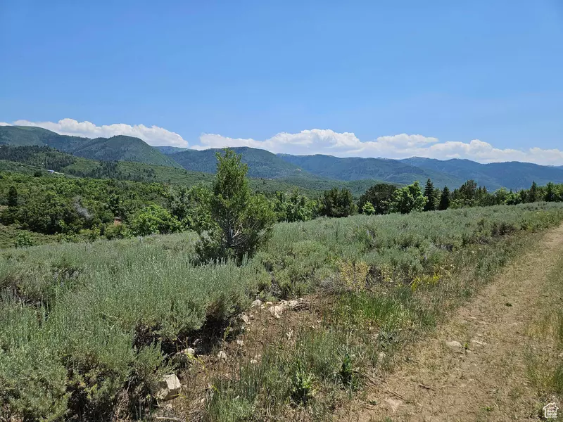 156 E WOLF HOLLOW RD S #156, Fairview, UT 84629