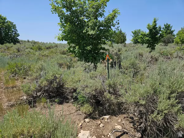 Fairview, UT 84629,156 E WOLF HOLLOW RD S #156