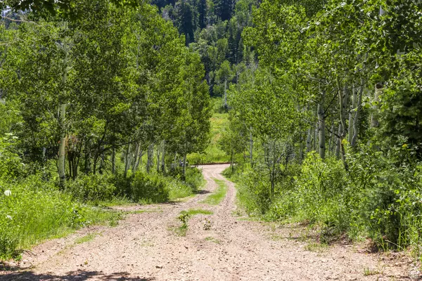 Wanship, UT 84017,951 HIDDEN CIR #D119