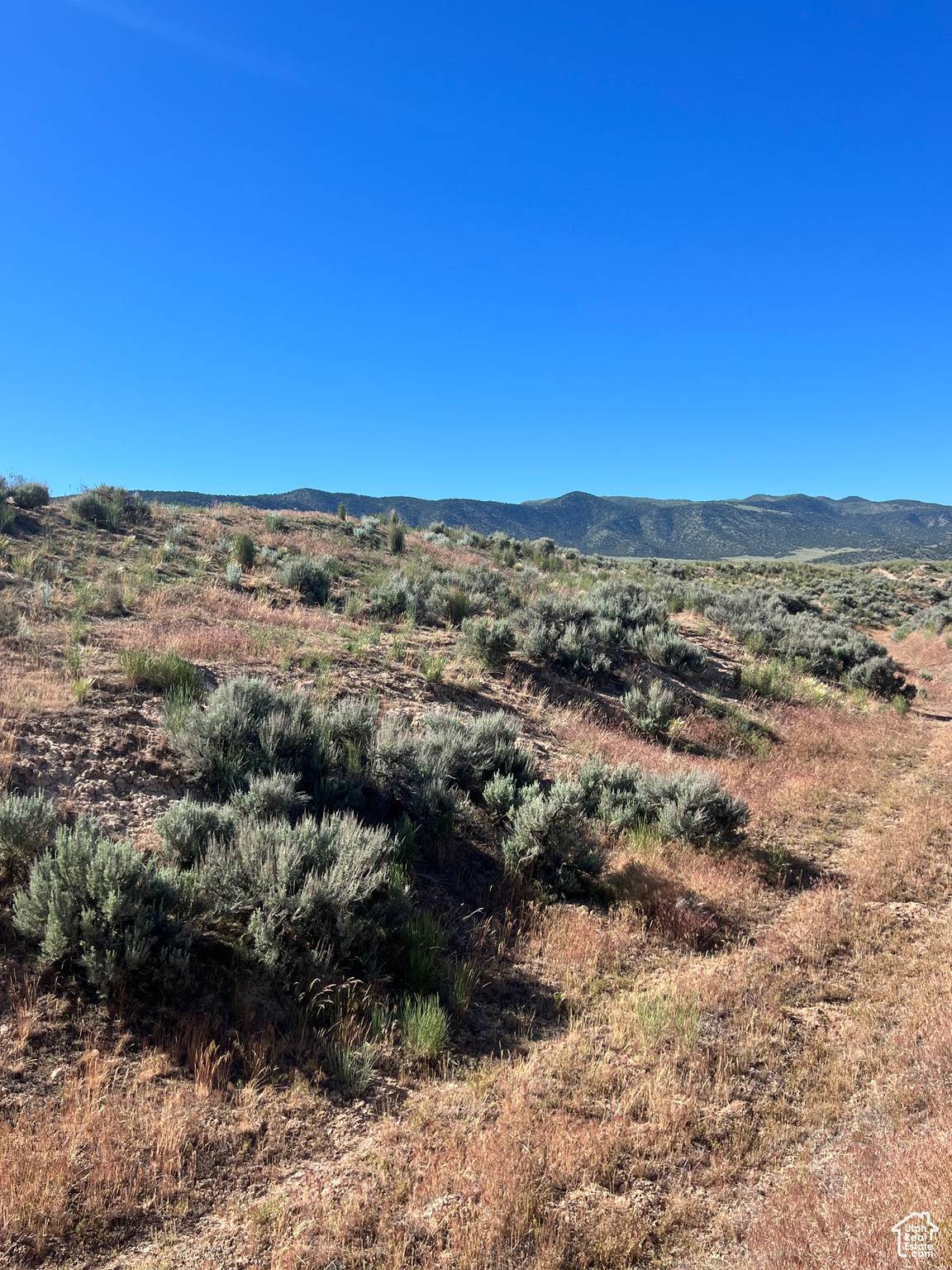 Levan, UT 84639