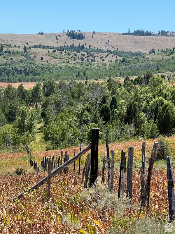 Montpelier, ID 83254