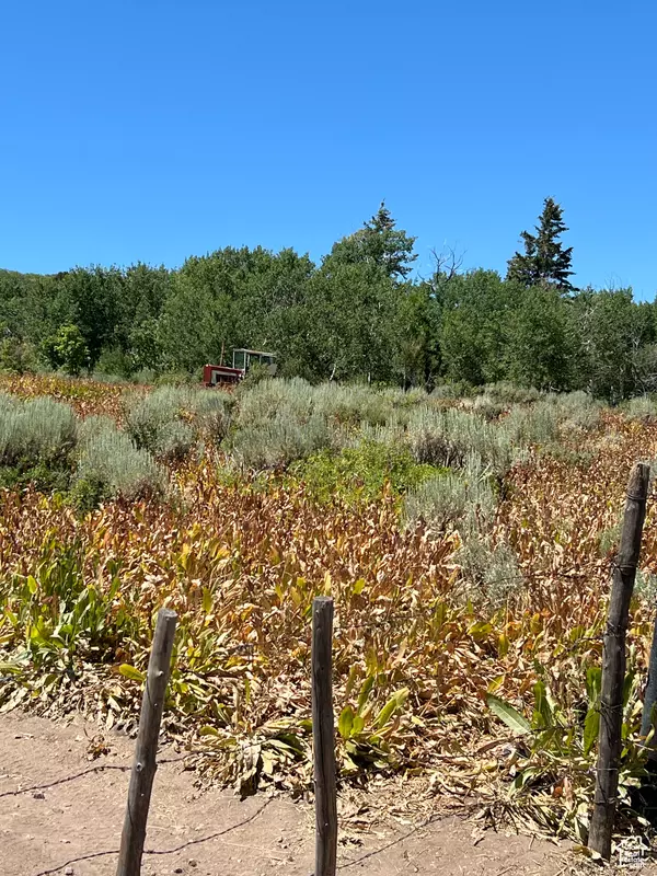 Montpelier, ID 83254