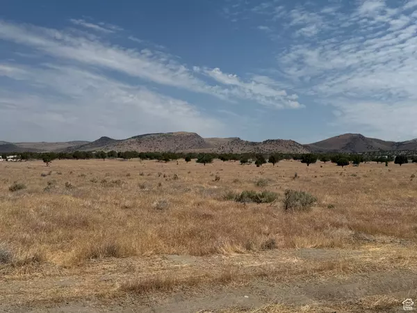 Fountain Green, UT 84632,22263 N 2100 E #3