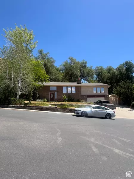 Address Not Disclosed