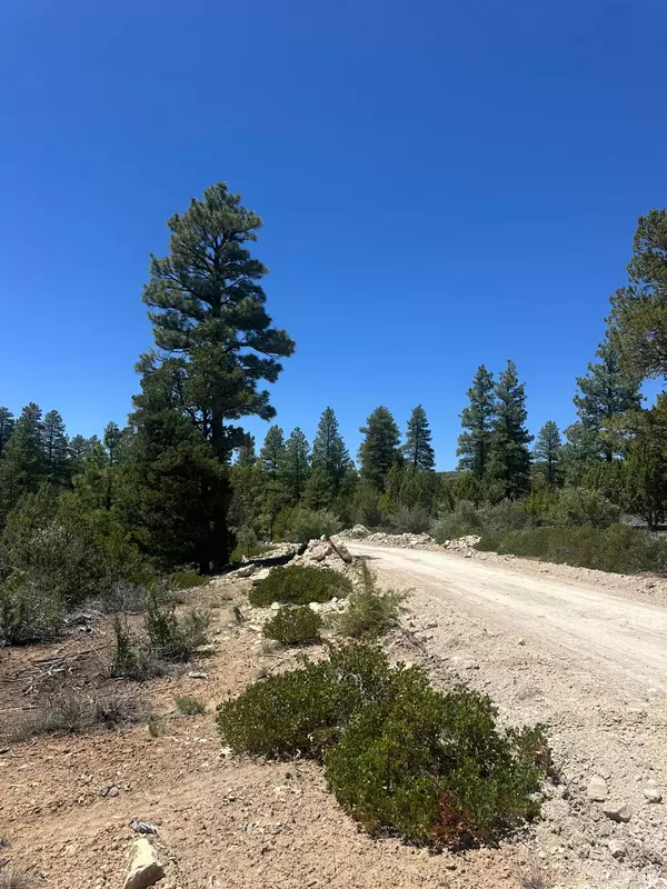 Orderville, UT 84758,11 PINE ST #11