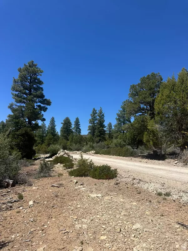 Orderville, UT 84758,11 PINE ST #11