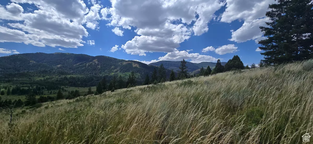 Bancroft, ID 83217,#10