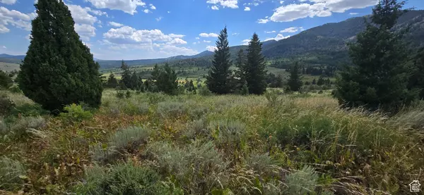 Bancroft, ID 83217,#10