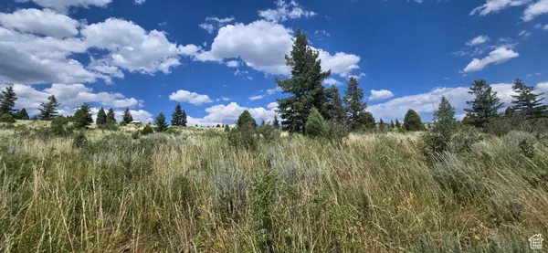 Bancroft, ID 83217,#10