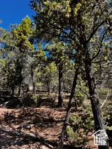 Orderville, UT 84758,12 BLOCK C ST #8A-C12