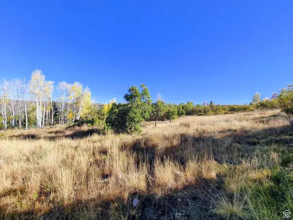 1813 S GREENLEAF RD #341, Heber City, UT 84032