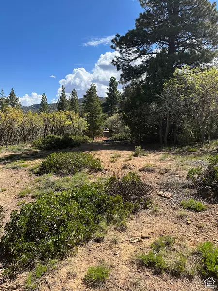 BONNIE GREEN DR #33, Duck Creek Village, UT 84762