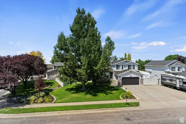 Address Not Disclosed