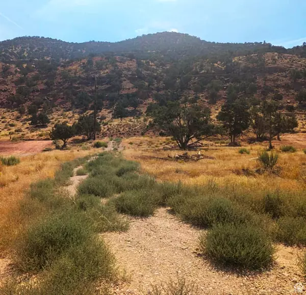 Paragonah, UT 84760,1517 N FOOTHILL DR #11