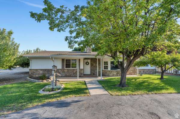 Address Not Disclosed