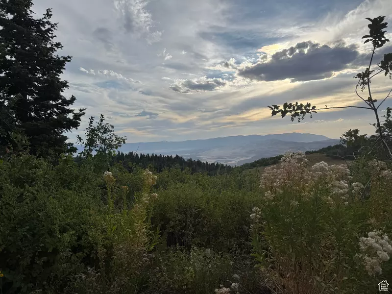 32 J CHOKECHERRY DR #J-32, Fairview, UT 84629